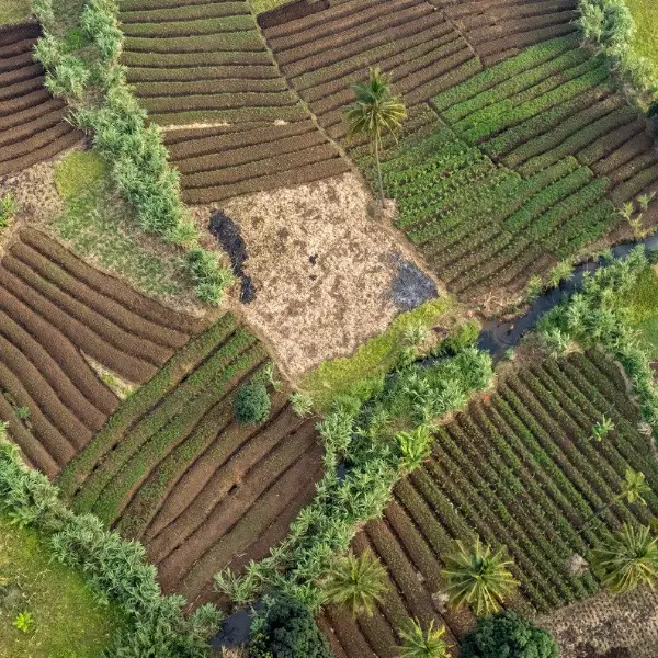 Agricultural Land